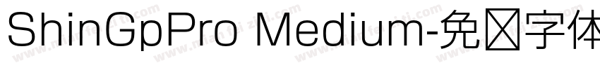ShinGpPro Medium字体转换